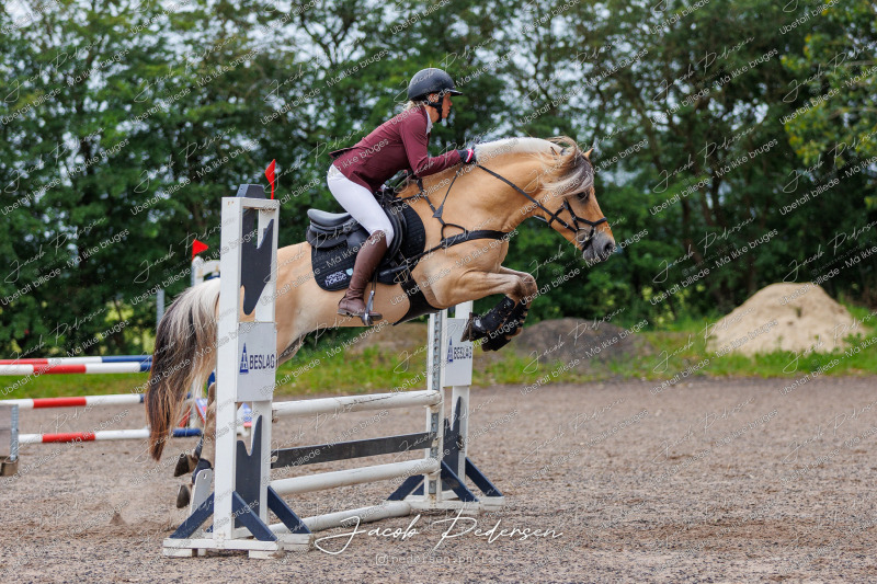 Nibe_Klasse_19_JM_Senior_Spring-9