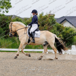Nibe_Klasse_8-10