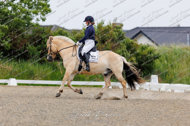 Nibe_Klasse_8-10