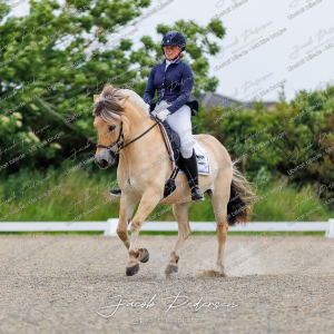 Nibe_Klasse_8-11