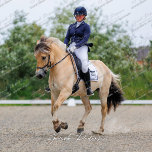 Nibe_Klasse_8-12