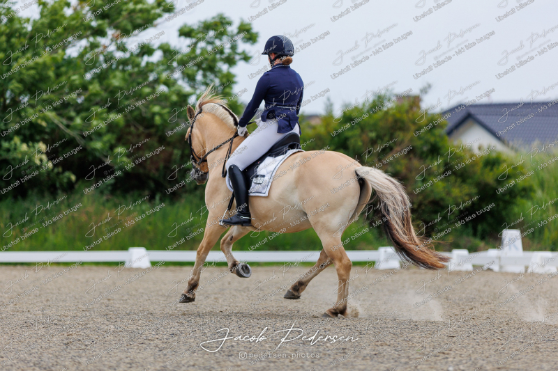 Nibe_Klasse_8-13