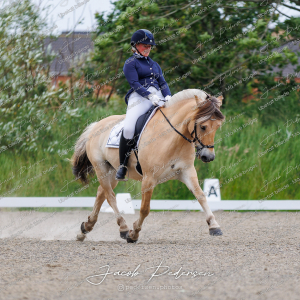Nibe_Klasse_8-6