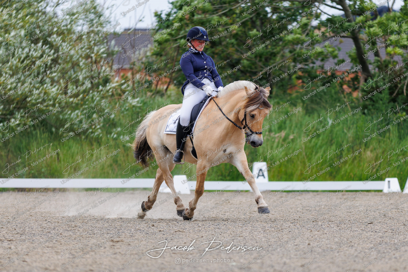 Nibe_Klasse_8-6