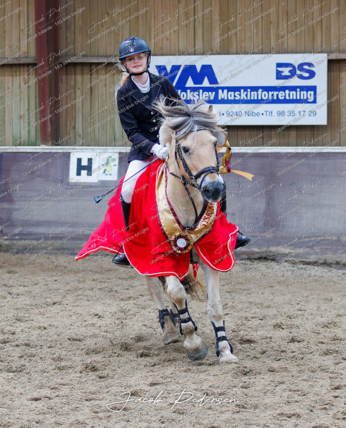 Nibe_Praemieoverraekkelse-15