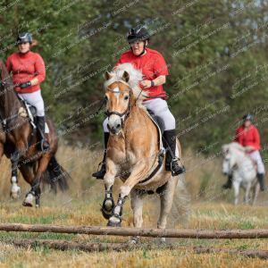 Begynderjagt_Sulsted_2025-55