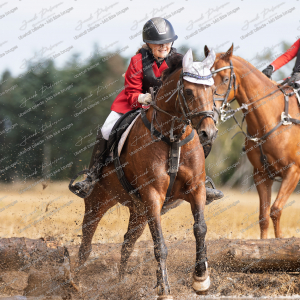 Begynderjagt_Sulsted_2025-81